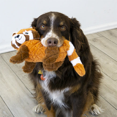 Kong hond scampers red panda medium 26 cm