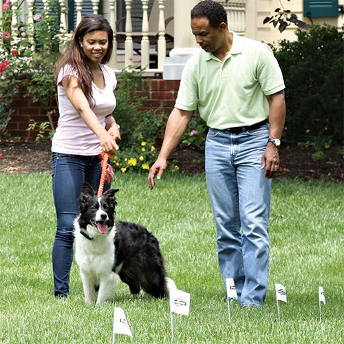 PetSafe 150 Meter Draht und 50 Flaggen