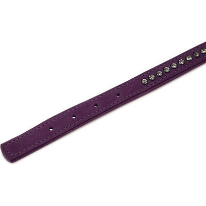 Beeztees Buffalo Leren Halsband met Strass - Paars - 35 cm x 17 mm