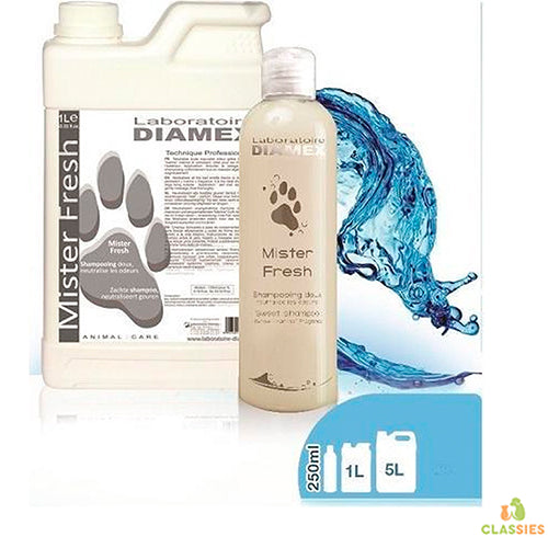 Diamex Mister Fresh shampoo