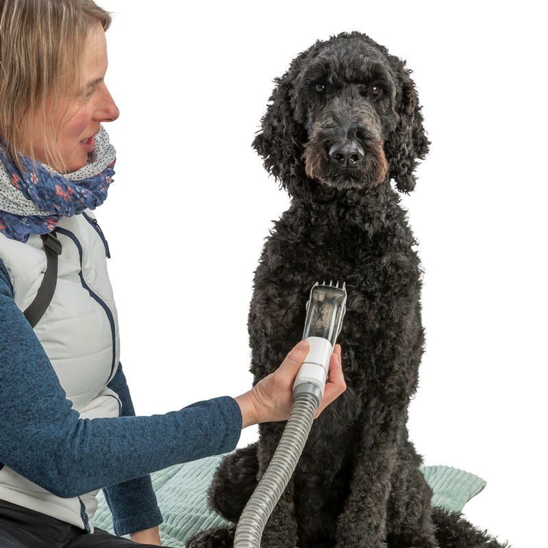 Trixie Grooming Kit, zuiger met tondeuse &amp; borstels, 2 l, 600 W