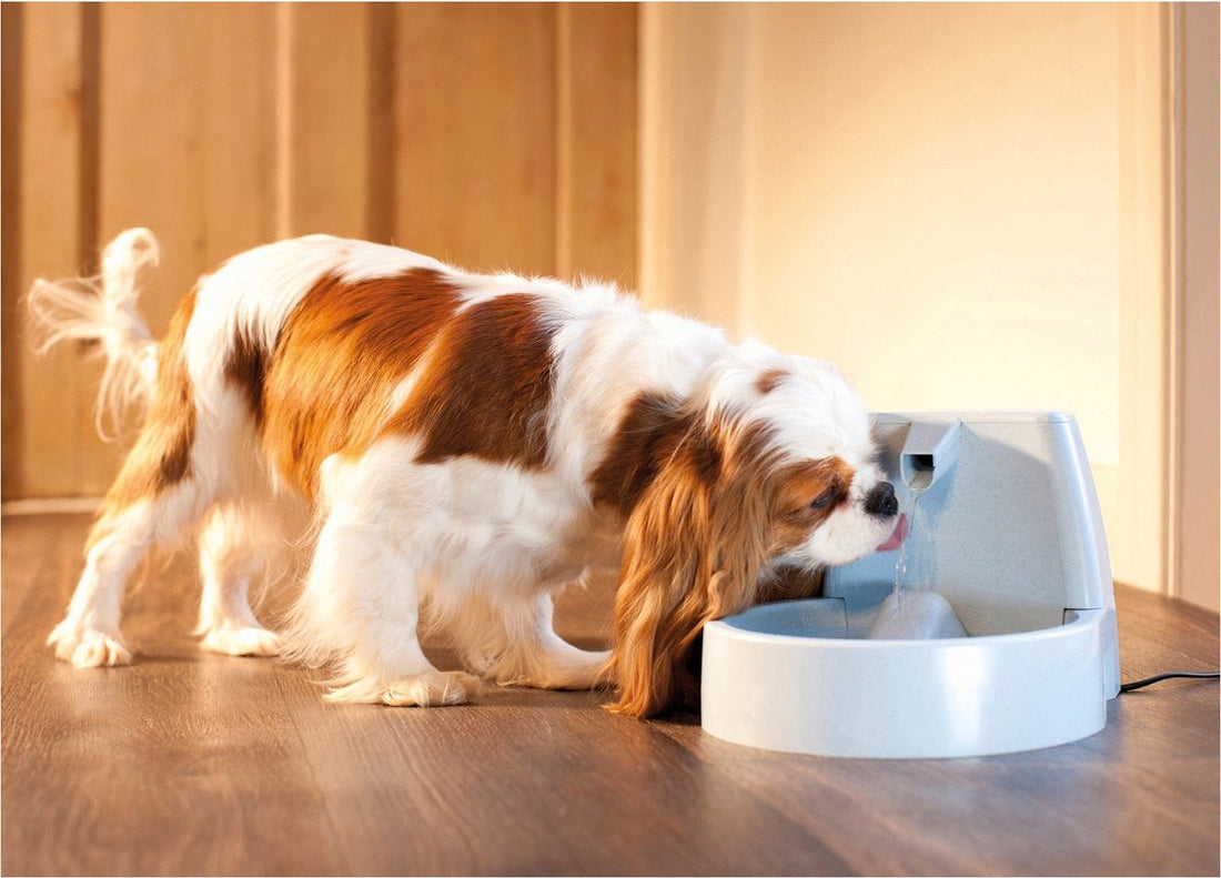Petsafe Drinkwell Original - Drinkfontein - 1,5 L