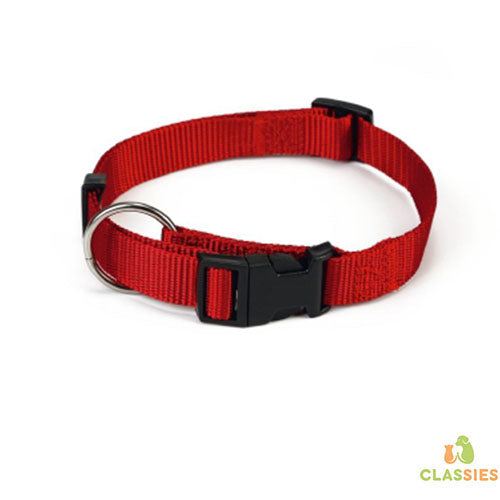 Beeztees - Verstelbare Nylon Honden Halsband - Rood - Nekomtrek tussen 22-35 cm - Breedte Halsband 1 cm