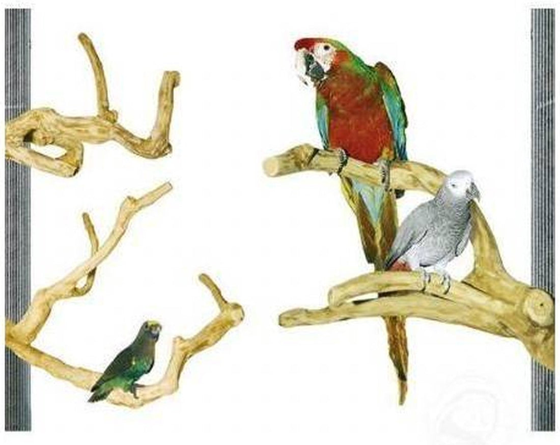 Back Zoo Nature Multi Perch Premium Medium 40 cm