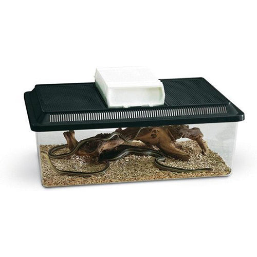 Savic Terrarium fauna box laag 50,5 x 30,5 x 18 cm