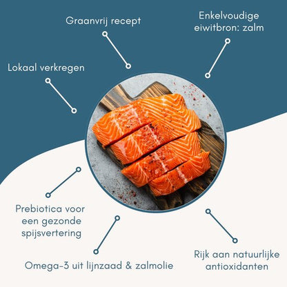 Dr Pol graanvrij zalm - probiotica - 2 - 10 kg