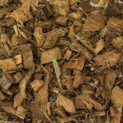 Back Zoo Nature Discovery Bedding voor Vogels of Knaagdieren - 10 liter