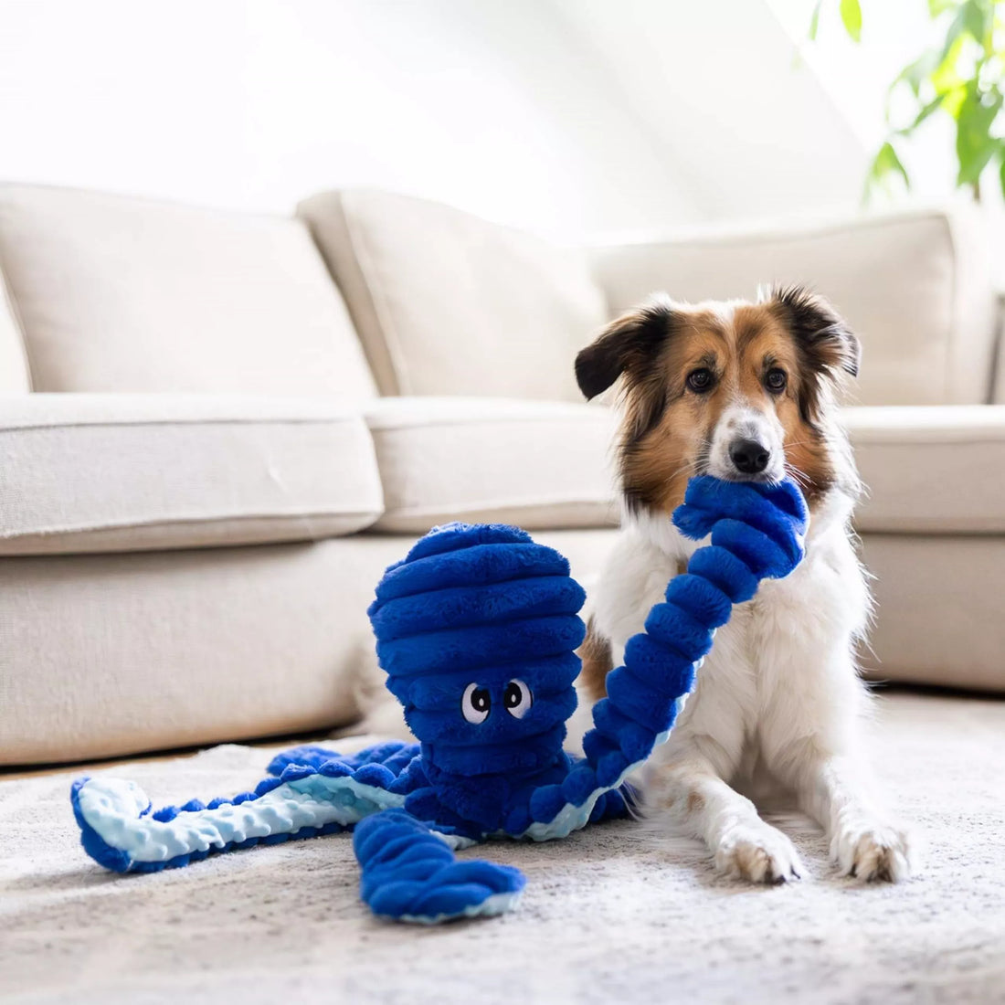 Quapas! Riesenkrake 66 cm Marineblau