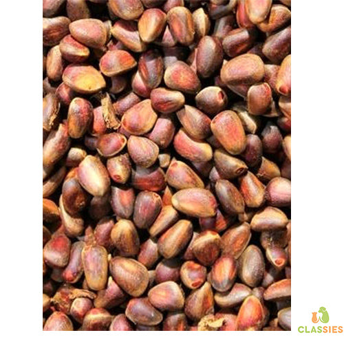 Noix de cèdre en sac 1,8 - 25 kg