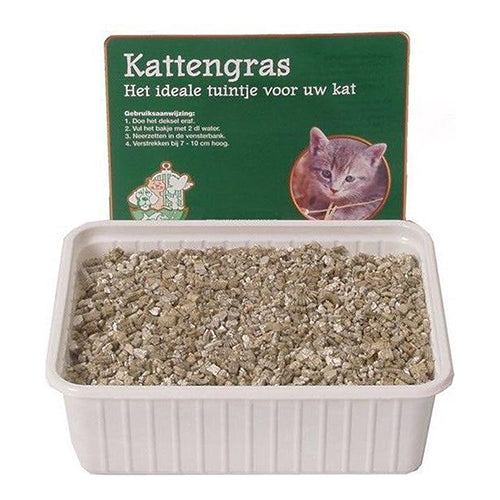 Kattengras