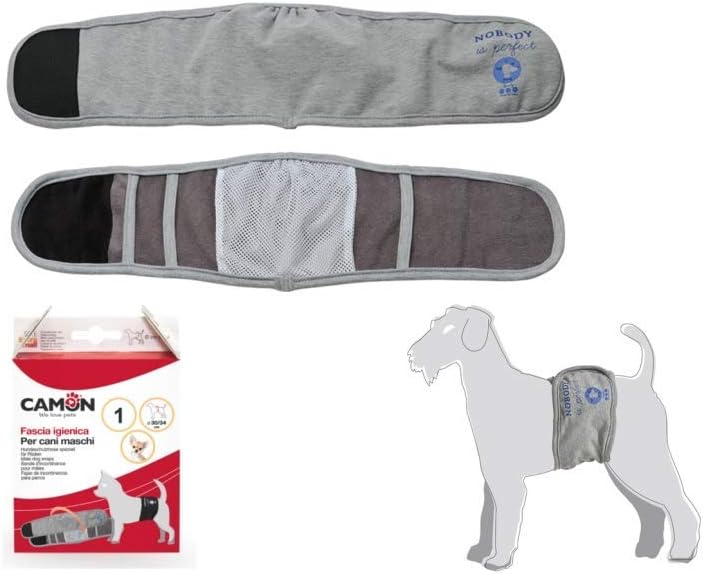 Inkontinenzband für Rüden - Grau - Erhältlich in 5 Größen