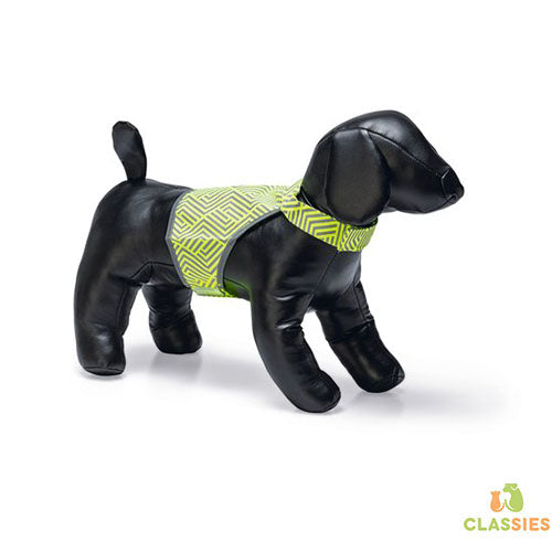 Beeztees Safety Gear Veiligheidsvest Ava - Maat M - Nekomvang: 40 tot 48 cm - Borstomvang: 56 tot 64 cm Classies