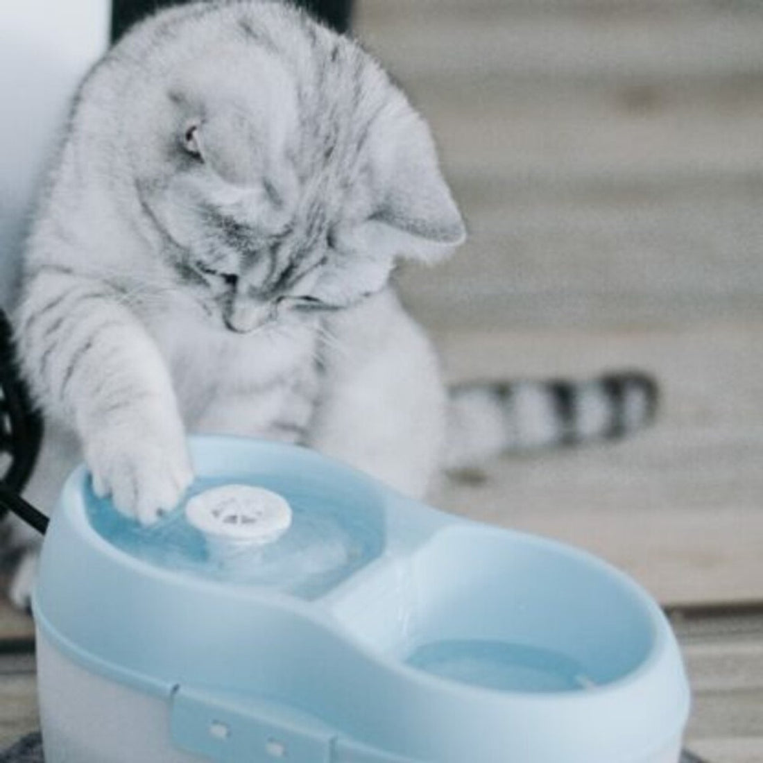 De Boon Waterbak drinkfontein Kat H20 2L